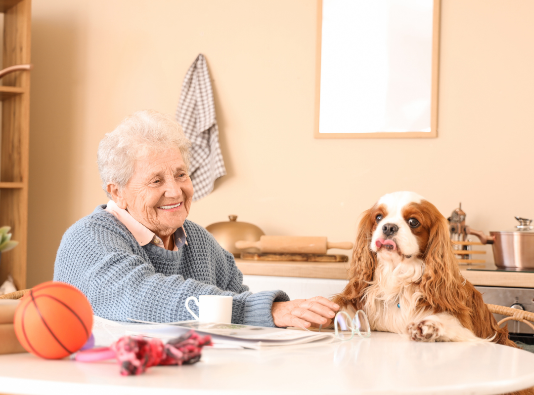 pet friendly senior living